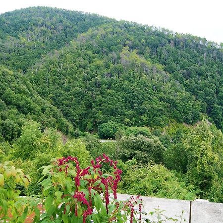 Chez Il Pino Lägenhet Vernazza Exteriör bild