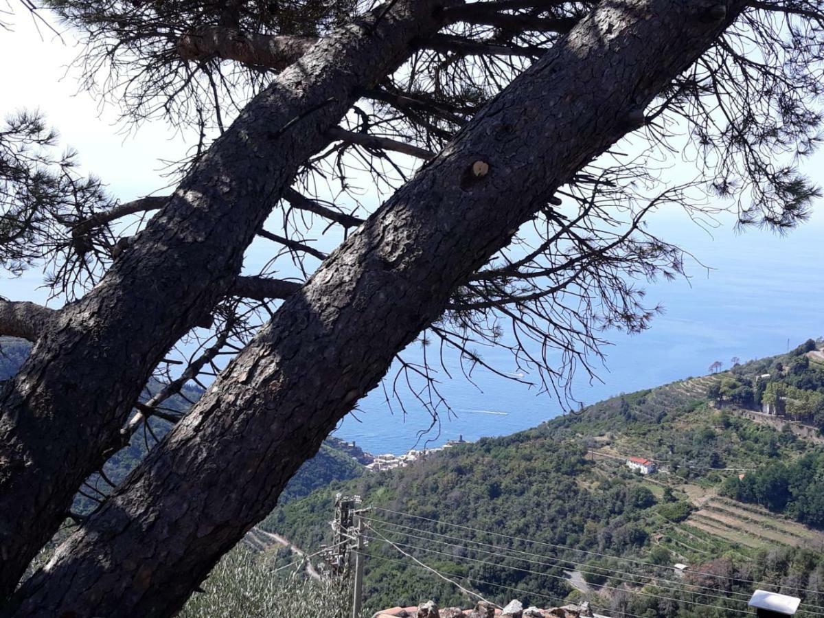 Chez Il Pino Lägenhet Vernazza Exteriör bild