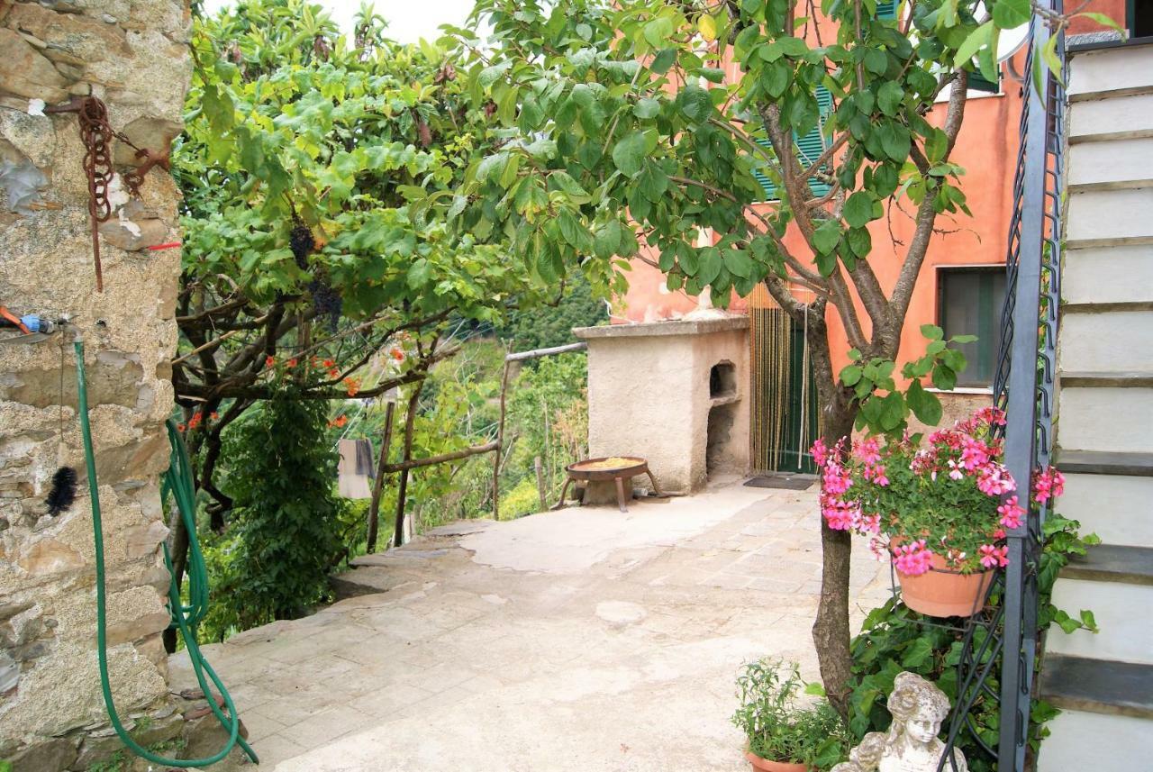 Chez Il Pino Vernazza Vista Mare Exteriör bild